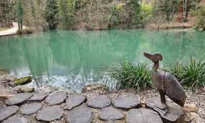 Parc des Etangs – Le niveau baisse